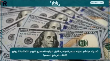 تحديث مباشر لحركة سعر الدولار مقابل الجنيه المصري اليوم الثلاثاء 25 يوليو 2025.. كم بلغ السعر؟